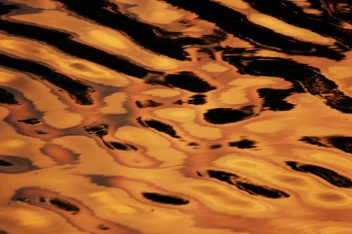 Fotografia de kokoy  photographer  cancun - Galeria Fotografica: ARTE - Foto: 