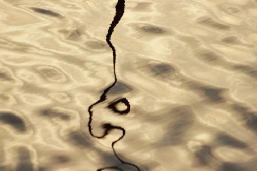 Fotografia de kokoy  photographer  cancun - Galeria Fotografica: ARTE - Foto: 