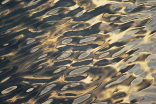 Fotografia de kokoy  photographer  cancun - Galeria Fotografica: ARTE - Foto: 