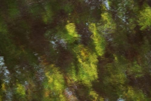 Fotografia de kokoy  photographer  cancun - Galeria Fotografica: ARTE - Foto: 