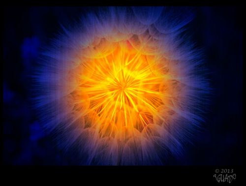 Fotografia de La Bombonera de Zanoni - Galeria Fotografica: Fotografa botnica - Foto: 