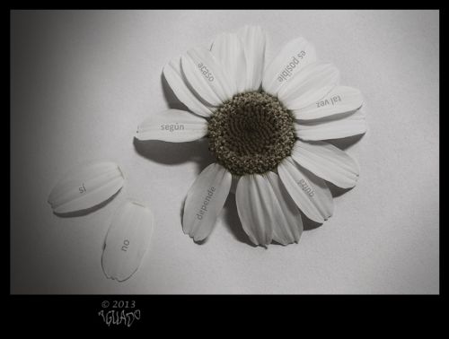 Fotografia de La Bombonera de Zanoni - Galeria Fotografica: Fotograf�a conceptual - Foto: 