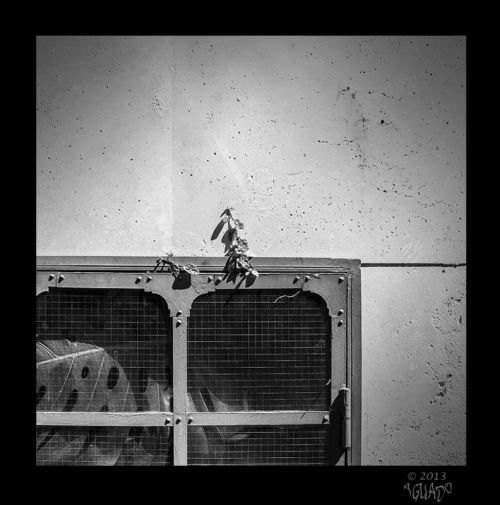 Fotografia de La Bombonera de Zanoni - Galeria Fotografica: Fotograf�a conceptual - Foto: 