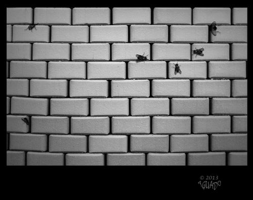 Fotografia de La Bombonera de Zanoni - Galeria Fotografica: Fotograf�a conceptual - Foto: 