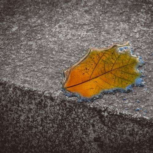 Fotografia de La Bombonera de Zanoni - Galeria Fotografica: Fotografa conceptual - Foto: 