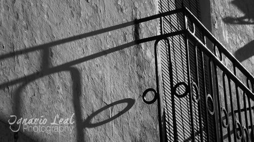 Fotografia de Ignacio Leal Orozco - Galeria Fotografica: Blanco y negro - Foto: Calor tardio
