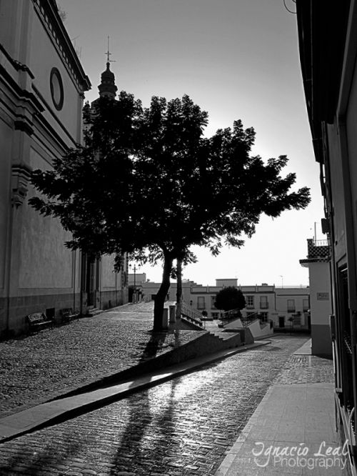 Fotografia de Ignacio Leal Orozco - Galeria Fotografica: Blanco y negro - Foto: Se ha ido