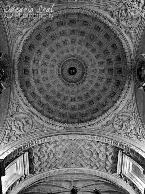 Fotografia de Ignacio Leal Orozco - Galeria Fotografica: Blanco y negro - Foto: Perfecto