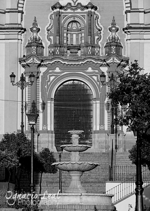 Fotografia de Ignacio Leal Orozco - Galeria Fotografica: Blanco y negro - Foto: Portada