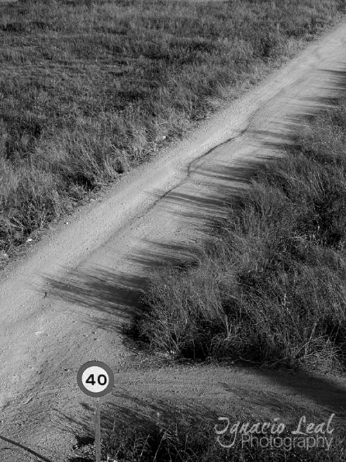 Fotografia de Ignacio Leal Orozco - Galeria Fotografica: Blanco y negro - Foto: Obvio