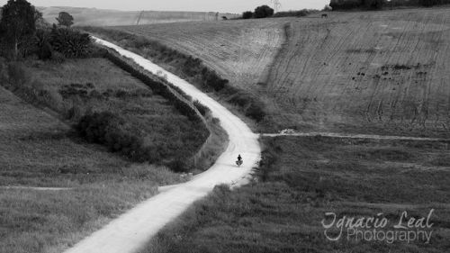 Fotografia de Ignacio Leal Orozco - Galeria Fotografica: Blanco y negro - Foto: El camino de siempre