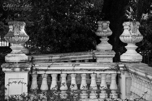 Fotografia de Ignacio Leal Orozco - Galeria Fotografica: Blanco y negro - Foto: La piedra centenaria