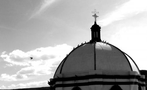 Fotografia de Andr Fezlo - Galeria Fotografica: Miradas Coloniales - Foto: La fuerza del vuelo