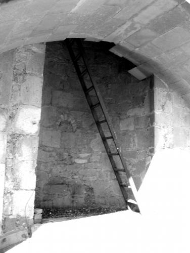 Fotografia de Andr Fezlo - Galeria Fotografica: Miradas Coloniales - Foto: Escalera hacia el edn