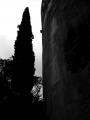 Fotos de Barnesius -  Foto: Inexpugnable Alhambra - 