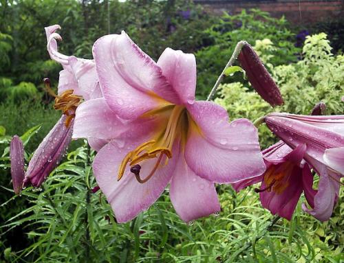 Fotografia de nico_om - Galeria Fotografica: Me and nature - Foto: Nada diferente