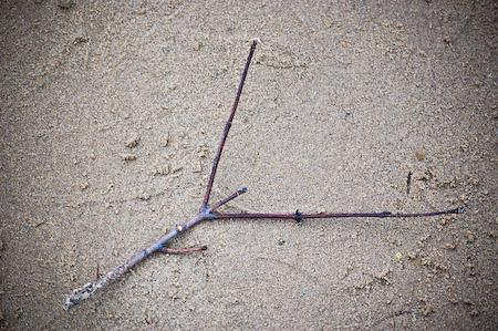 Fotografia de LOBOP - Galeria Fotografica: mas fotos - Foto: 