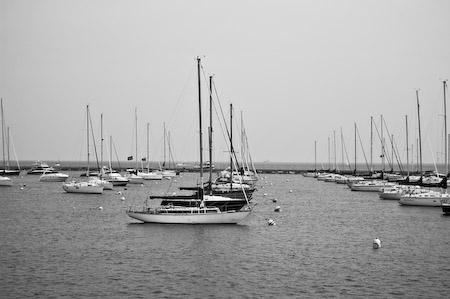 Fotografia de LOBOP - Galeria Fotografica: mas fotos - Foto: 