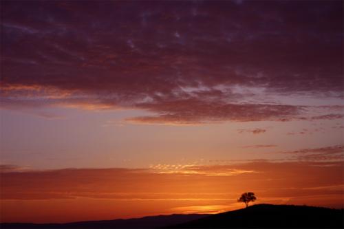 Fotografia de transzar - Galeria Fotografica: Solonatura - Foto: Amanecer