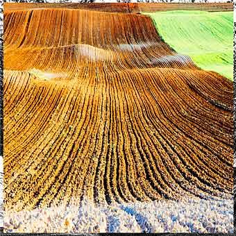 Fotografia de Clara Elias - Galeria Fotografica: Naturaleza - Foto: Nature 1