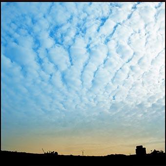 Fotografia de Clara Elias - Galeria Fotografica: Naturaleza - Foto: Nature 3