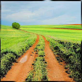 Fotografia de Clara Elias - Galeria Fotografica: Naturaleza - Foto: Nature 4