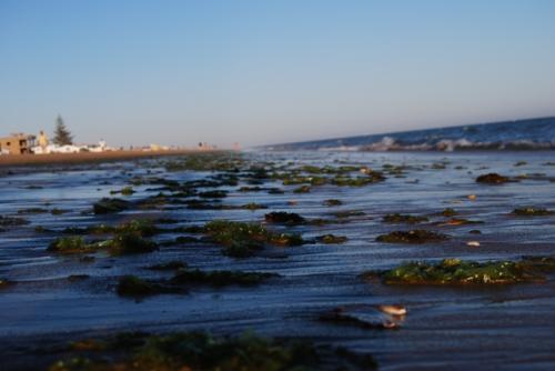 Fotografia de jimyrossi - Galeria Fotografica: EL VERDADERO ARTE ESTA EN LA CALLE - Foto: orilla de mar