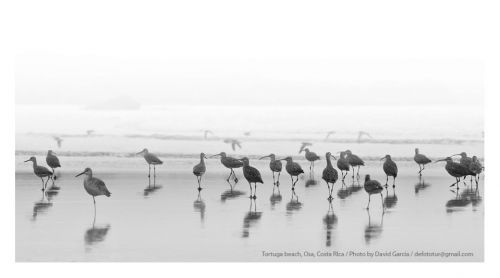 Fotografia de Defototur - Galeria Fotografica: muestras - Foto: 