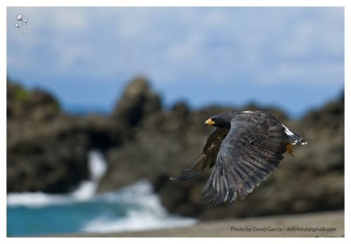 Fotografia de Defototur - Galeria Fotografica: muestras - Foto: 