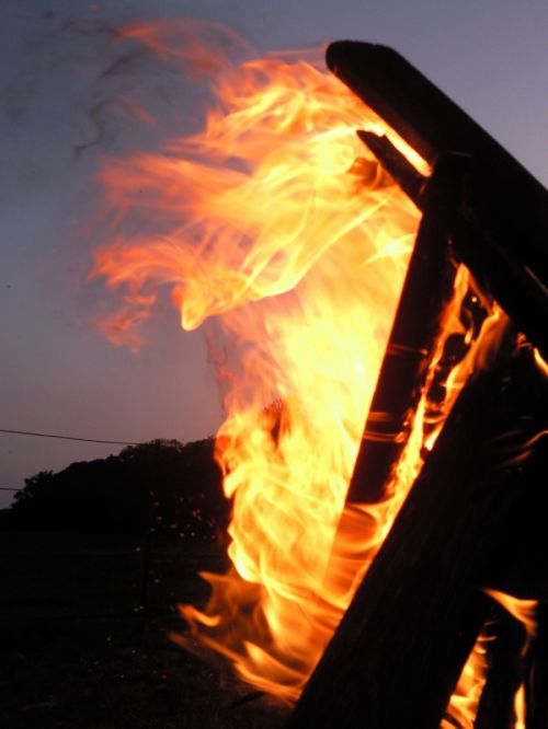 Fotografia de Stefani - Galeria Fotografica: Un mundo diferente.. - Foto: 