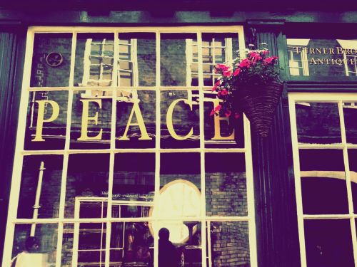 Fotografia de Stefani - Galeria Fotografica: Un mundo diferente.. - Foto: My  place..