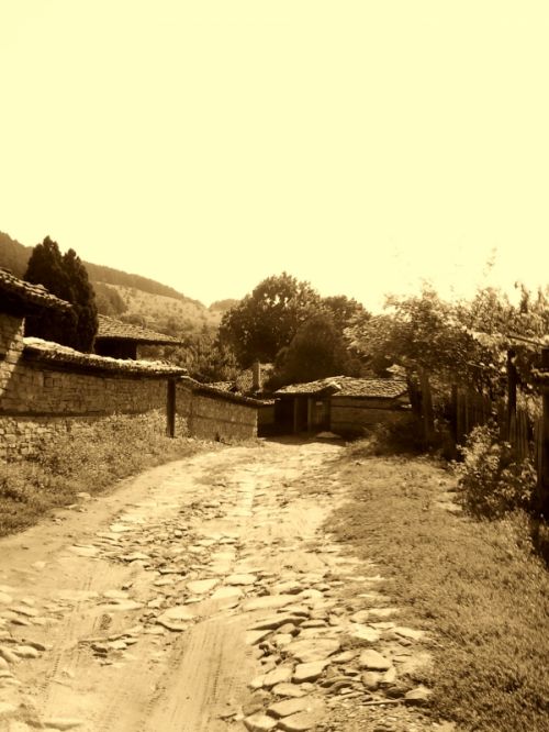 Fotografia de Stefani - Galeria Fotografica: Un mundo diferente.. - Foto: Home sweet home