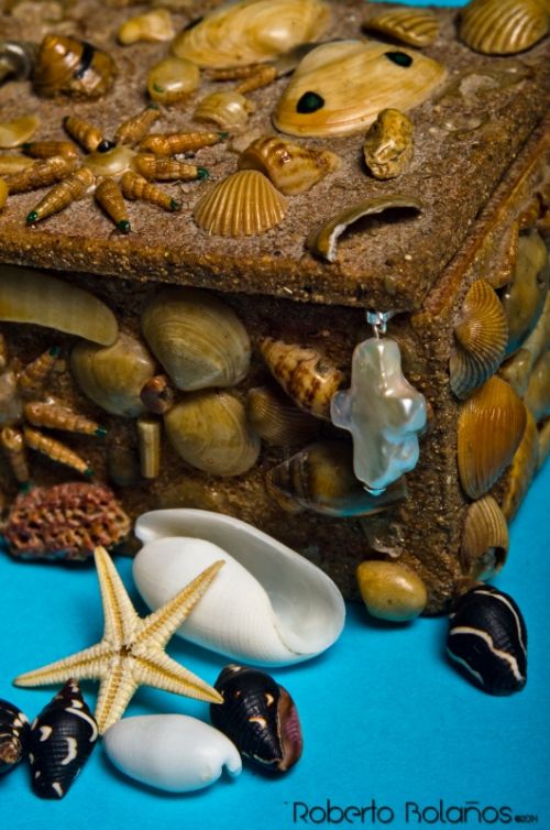 Fotografia de Roberto Bolaos - Galeria Fotografica: Foto de producto (Landmers) - Foto: 