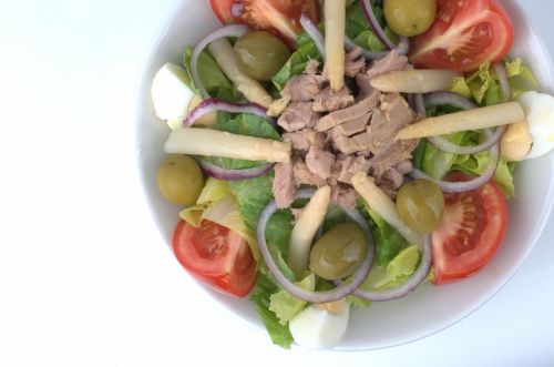 Fotografia de bernardo - Galeria Fotografica: Foto de catalogo - Foto: 