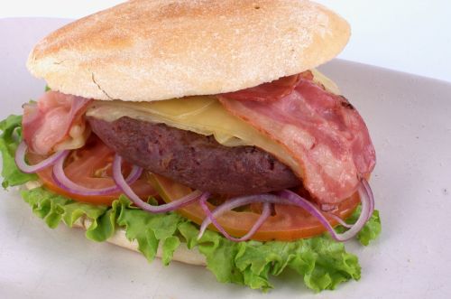 Fotografia de bernardo - Galeria Fotografica: Foto de catalogo - Foto: 