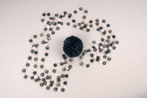 Fotografia de bernardo - Galeria Fotografica: Foto de catalogo - Foto: 