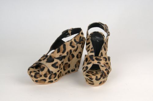 Fotografia de bernardo - Galeria Fotografica: Foto de catalogo - Foto: 