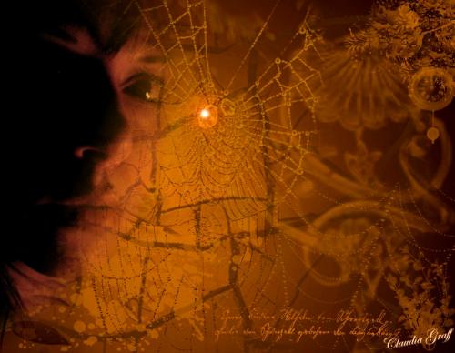 Fotografia de Sin Nombre - Galeria Fotografica: ARTE DIGITAL - Foto: Sombras