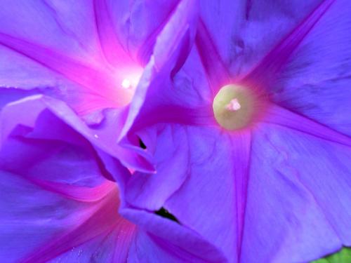 Fotografia de Chema - Galeria Fotografica: Vision de la naturaleza - Foto: 								Busca al pez								Mi vision