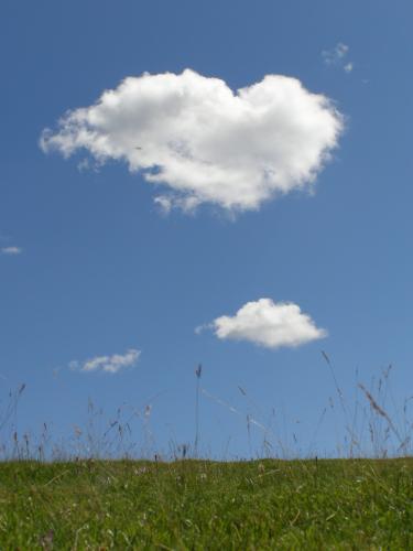 Fotografia de Cifuentes - Galeria Fotografica: eternidad - Foto: Para m...