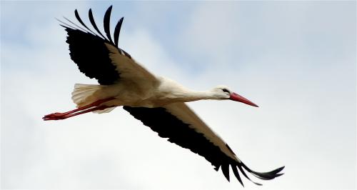 Fotografia de jose daniel - Galeria Fotografica: naturaleza - Foto: 