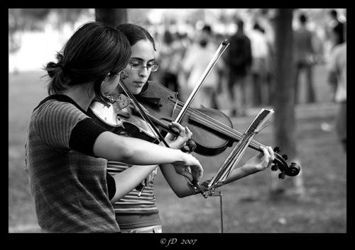 Fotografia de jose daniel - Galeria Fotografica: naturaleza - Foto: PRECOCIDAD