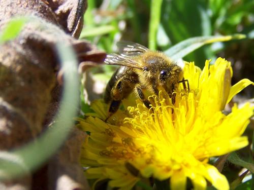 Fotografia de Christian Moraga - Galeria Fotografica: Fotografia Detalles - Foto: 