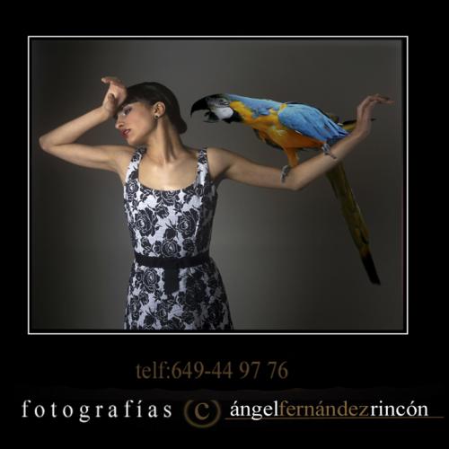 Fotografia de MAGNUM REPORTAJES - Galeria Fotografica: moda - Foto: 								