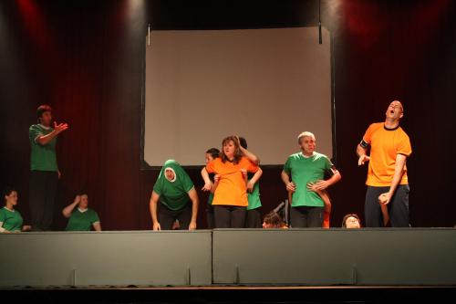 Fotografia de Mifotovision - Galeria Fotografica: Match de Improvisacion Teatral Liga Platense - Foto: 