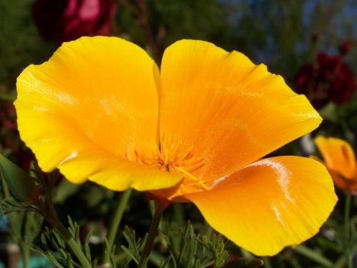 Fotografia de Christian Moraga - Galeria Fotografica: Fotografia Detalles - Foto: 