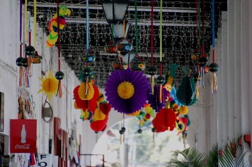 Fotografia de Mauro Valle - Galeria Fotografica: Los Volcanes - Foto: De colores y tambin morado