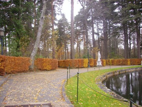 Fotografia de maite23 - Galeria Fotografica: Oto�o - Foto: 