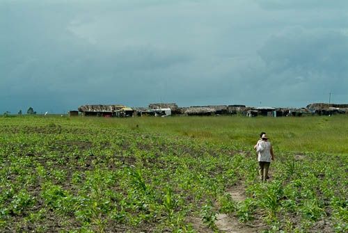 Fotografia de franco garlaschelli - Galeria Fotografica: Sem Terra - Foto: 