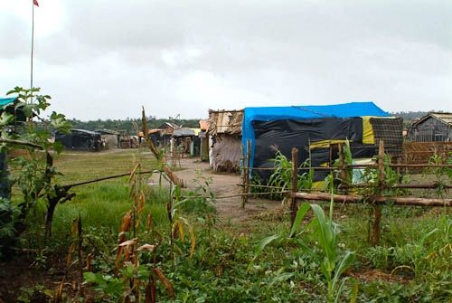 Fotografia de franco garlaschelli - Galeria Fotografica: Sem Terra - Foto: 